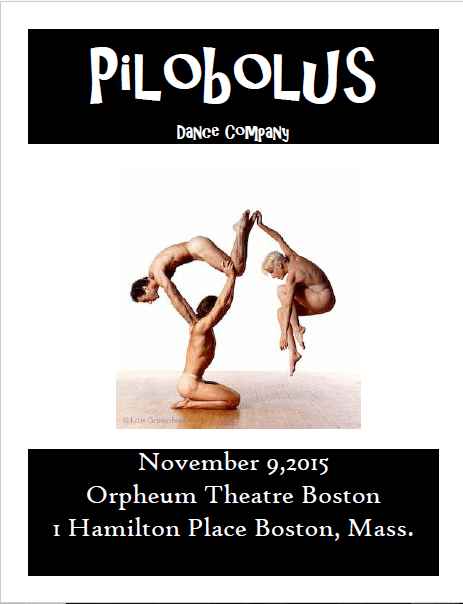 pilobolus
